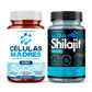 AFA Stem Cell 500mg & Ultra Shilajit Supplement 10,000mg