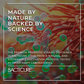 Bacticure - Natural Probiotic | 240B CFUs Gut Health & Digestive Support