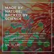 Bacticure - Natural Probiotic | 240B CFUs Gut Health & Digestive Support