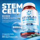 AFA Algae Supplement 500mg | Advanced Cellular Renewal & Longevity Support