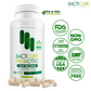 Bacticure - Natural Probiotic | 240B CFUs Gut Health & Digestive Support