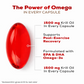 Omega Red Omega-3 Formula | Heart, Brain & Joint Support