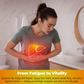 Hepatol | Advanced Liver Cleanse & Wellness Support