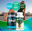 Regemax + Ultra Shilajit Bundle | Joint Wellness & Vitality Support