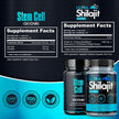 Stem Cell 1000mg + Ultra Shilajit 1000mg Bundle | Cellular Wellness & Energy Support