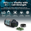 Premium AFA Algae 1,000mg | Advanced Longevity & Cellular Support