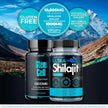 Stem Cell 1000mg + Ultra Shilajit 1000mg Bundle | Cellular Wellness & Energy Support