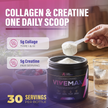 ViveMax Collagen & Creatine Powder | Daily Muscle Support & Post-Workout Wellness