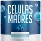 Celulas Madre
