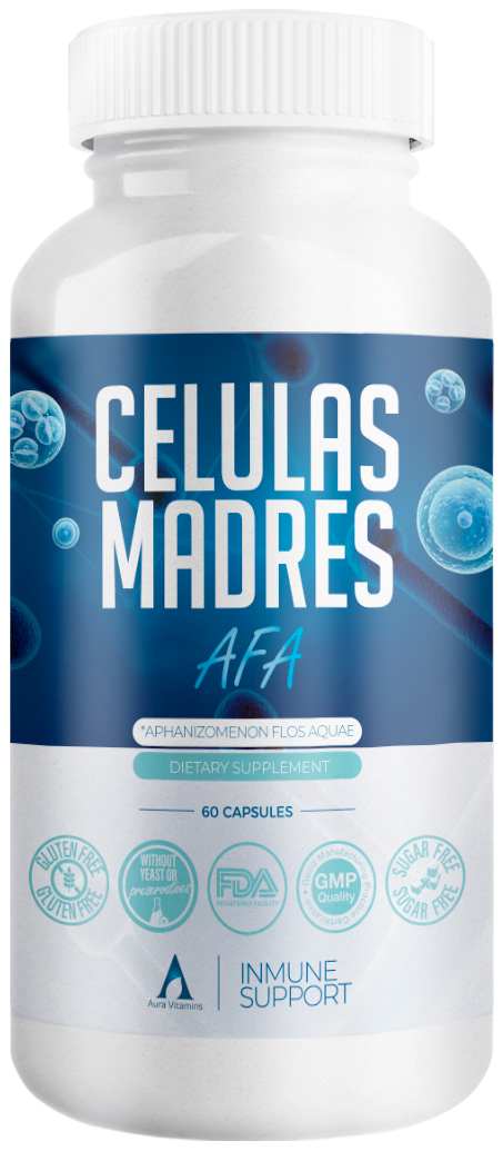 Celulas Madre