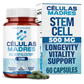 Stem Cell Supplement 500mg Capsules for Cellular Renewal & Longevity Support | Aura Vitamins